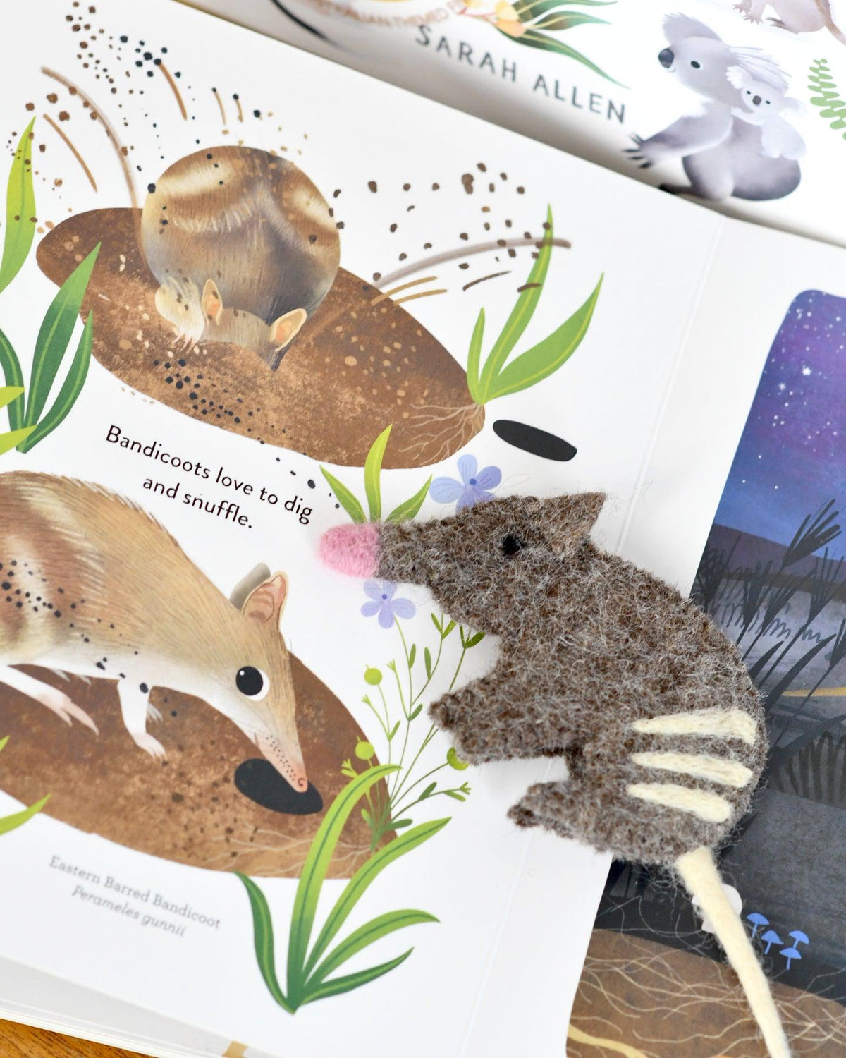 Jumping Joeys Finger Puppets and Book Set by Sarah Allen - Tara Treasures