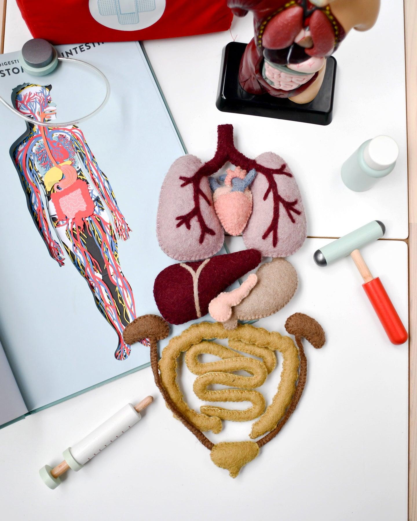Felt Anatomy Set - Tara Treasures