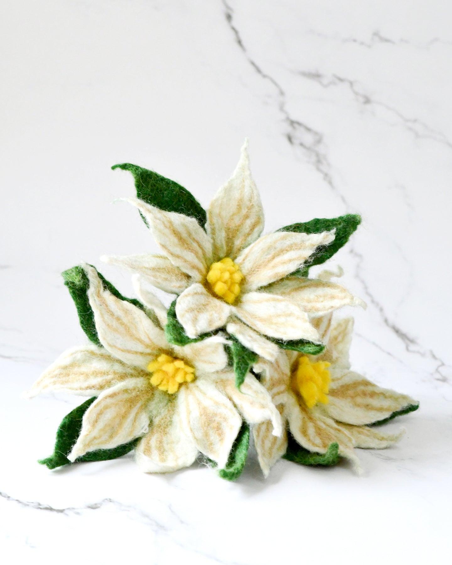 Felt White Poinsettia Flowers (Set of 3 stems) - Tara Treasures