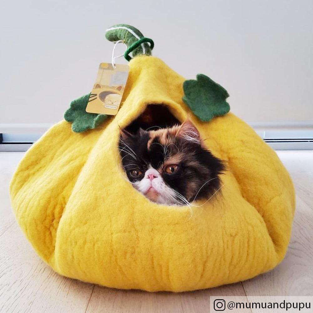 Cat Cave - Pumpkin - Tara Treasures