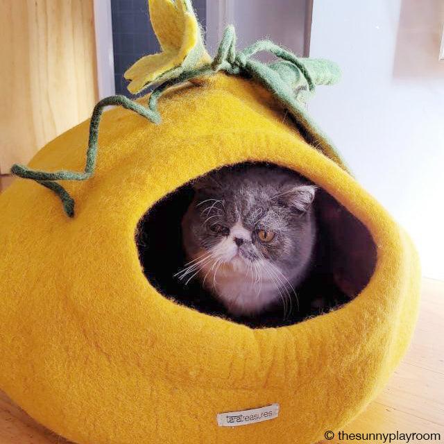 Cat Cave - Pumpkin - Tara Treasures