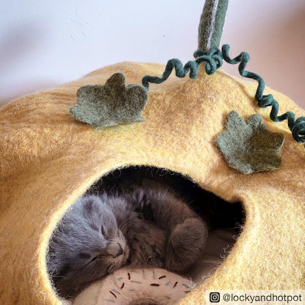 Cat Cave - Pumpkin - Tara Treasures