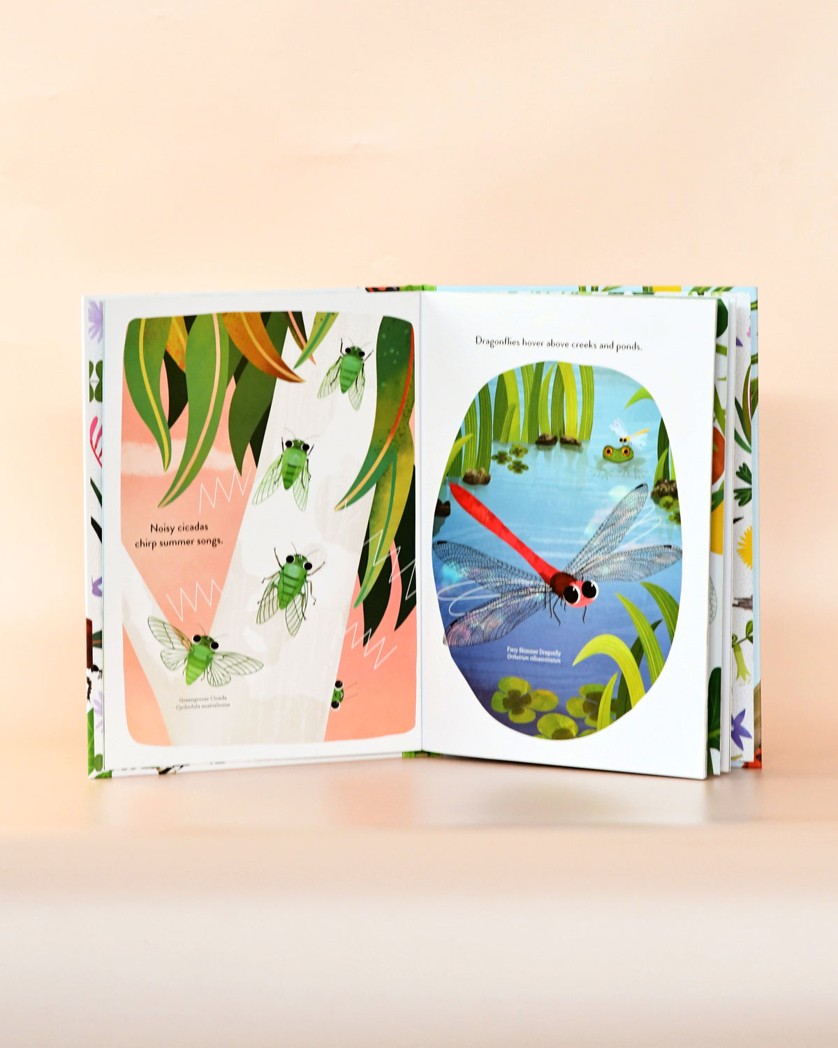 Ingenious Insects, Book by Sarah Allen – Tara Treasures