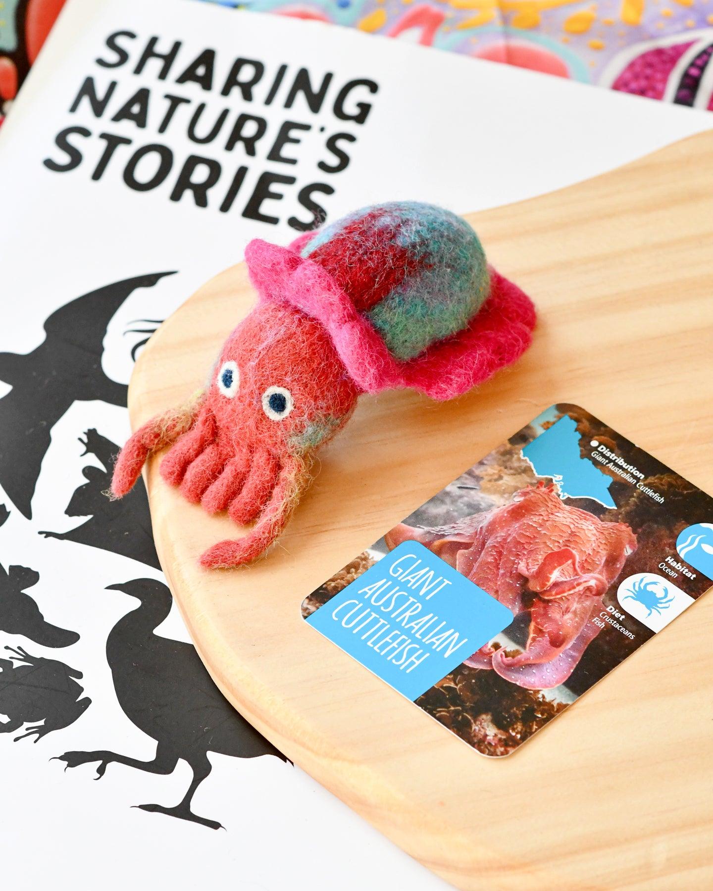 Felt Australian Toy - Giant Australian Cuttlefish - Parks Victoria Nature Mascots - Tara Treasures