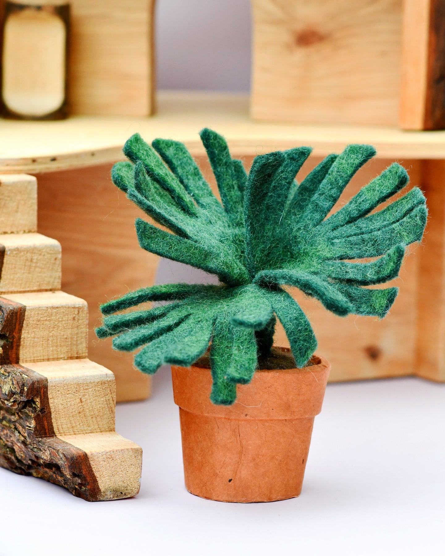 Felt Chalk Sticks Succulent Plant with Lokta Paper Pot - Tara Treasures