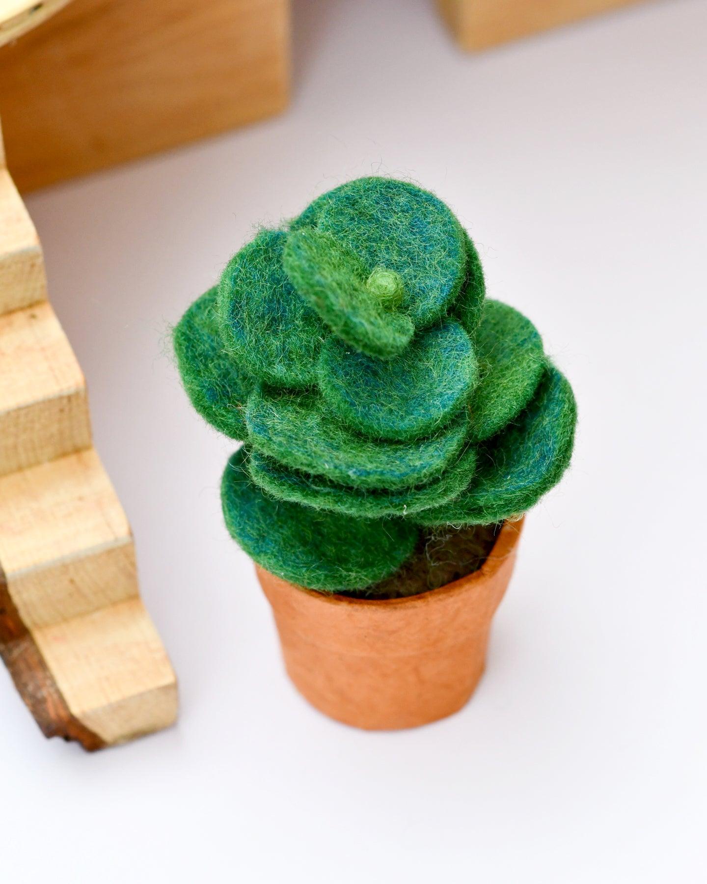 Felt Green Jade Succulent Plant with Lokta Paper Pot - Tara Treasures