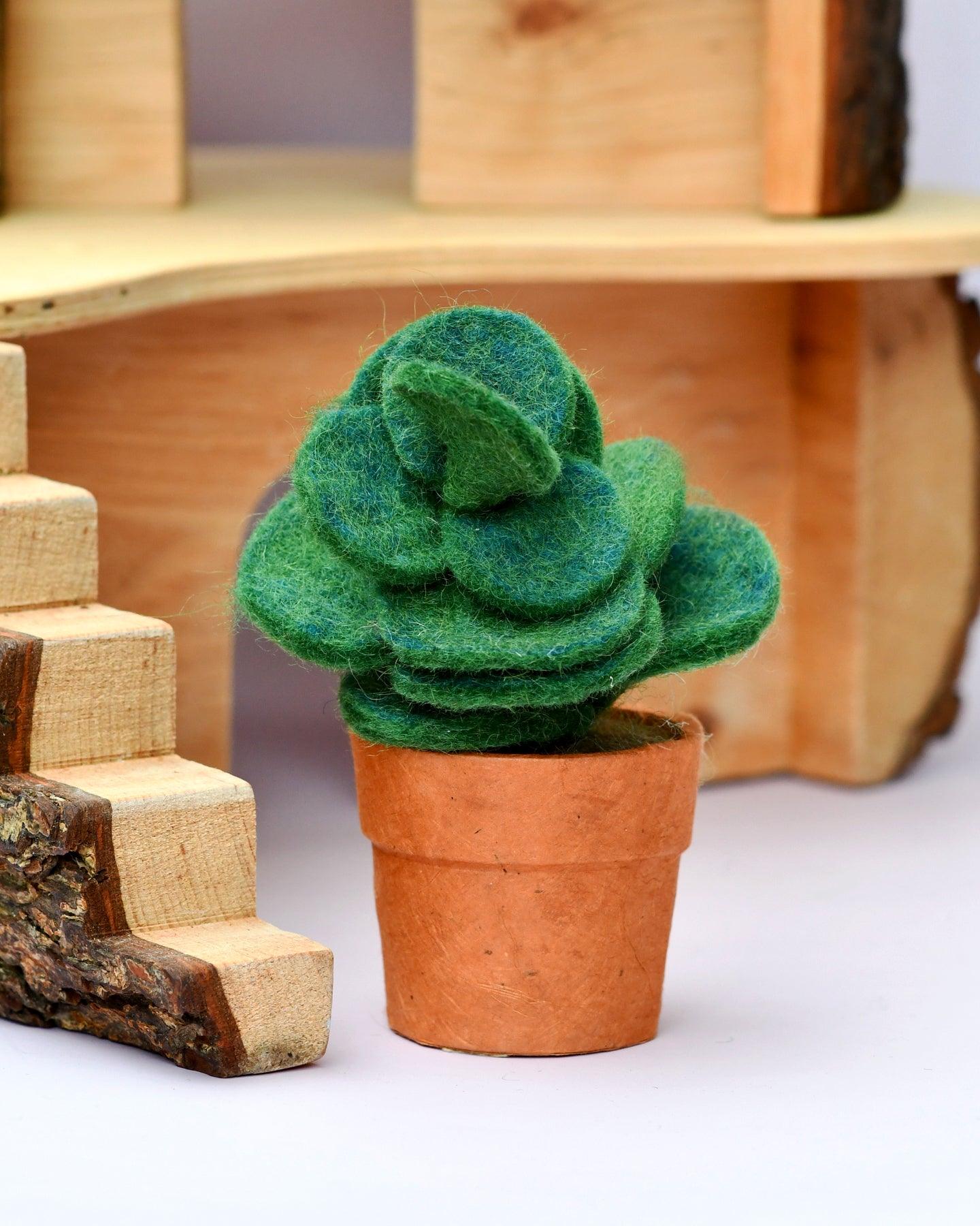 Felt Green Jade Succulent Plant with Lokta Paper Pot - Tara Treasures