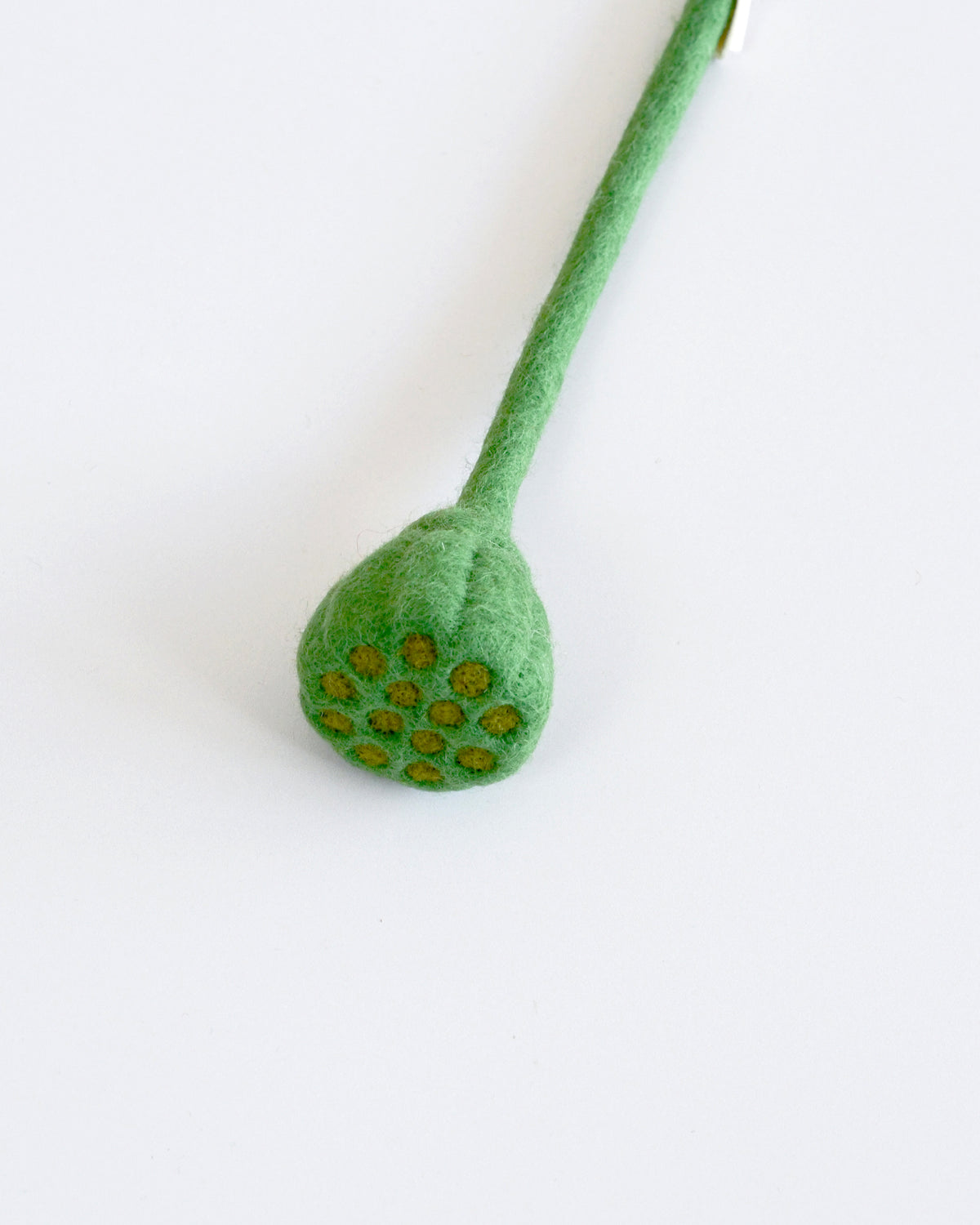 Felt Lotus Root