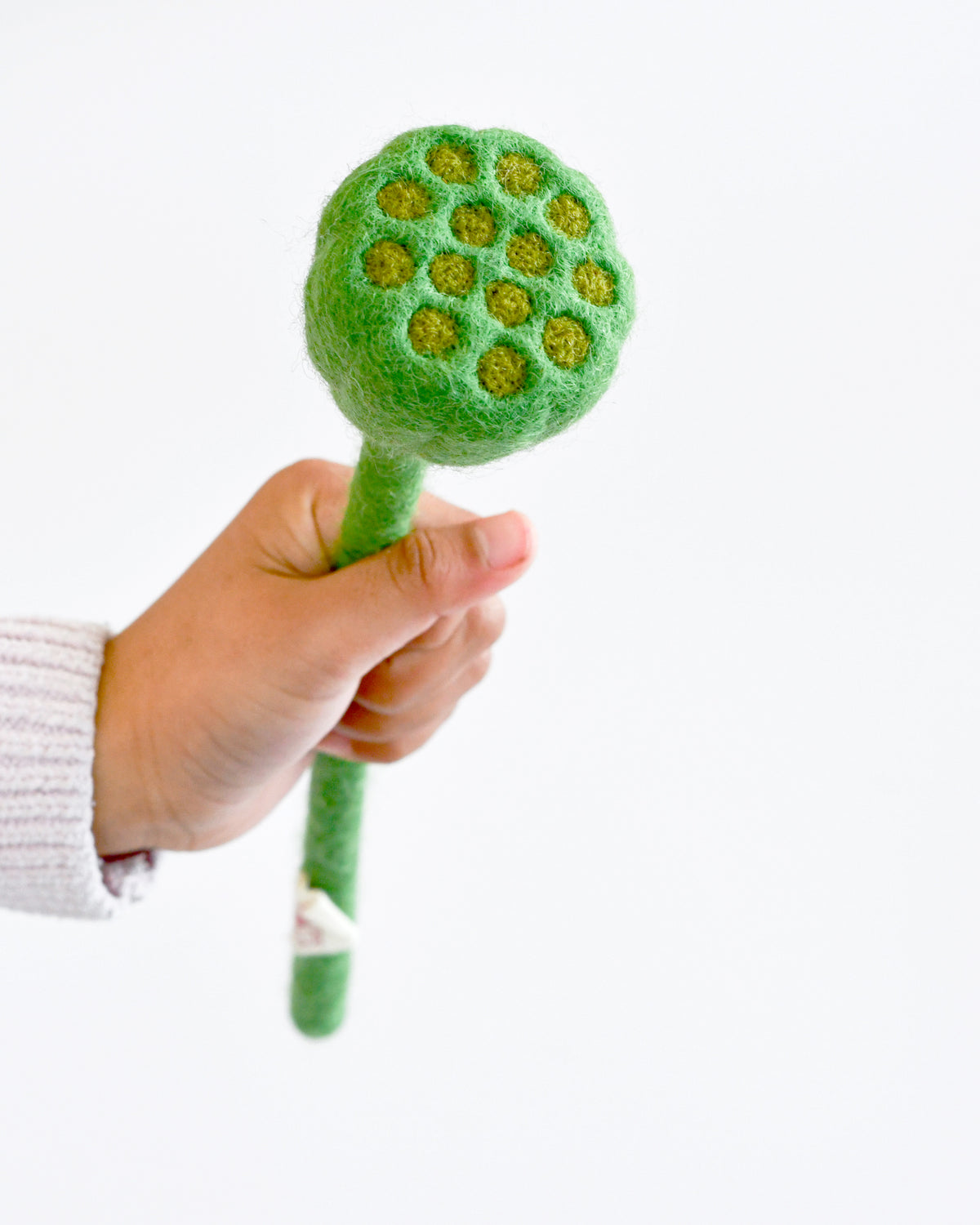 Felt Lotus Root