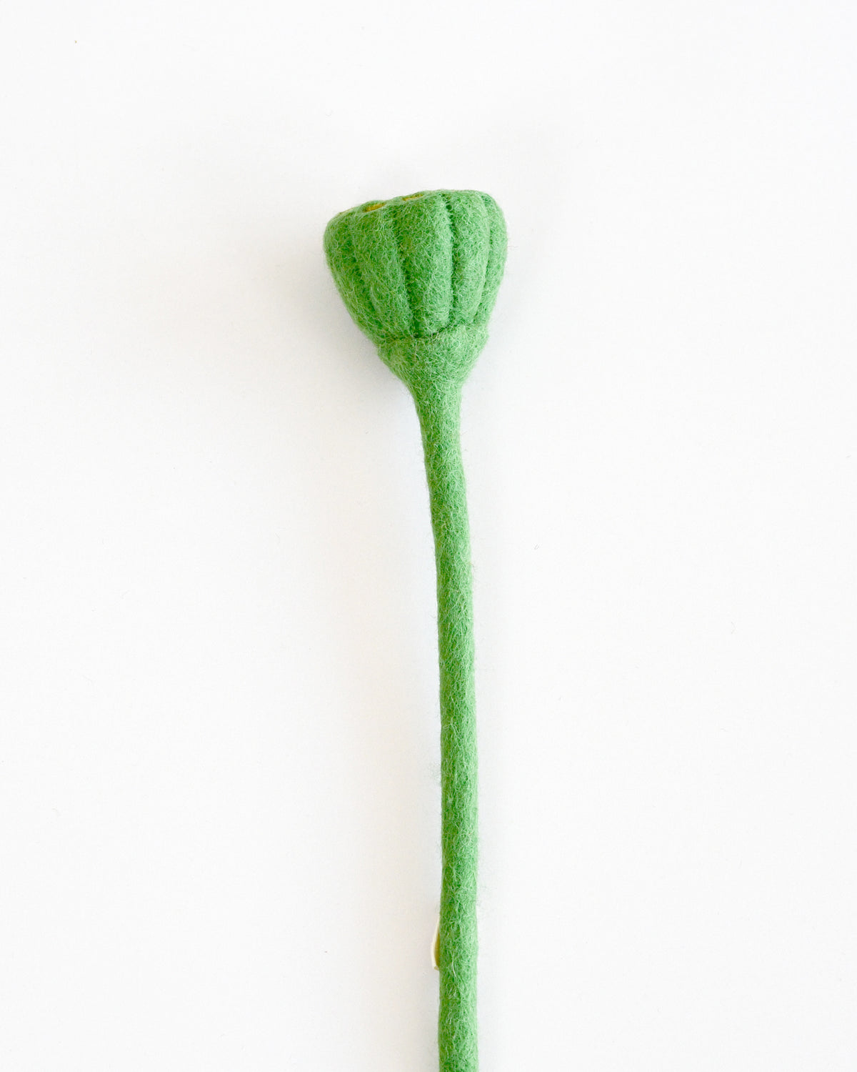 Felt Lotus Root