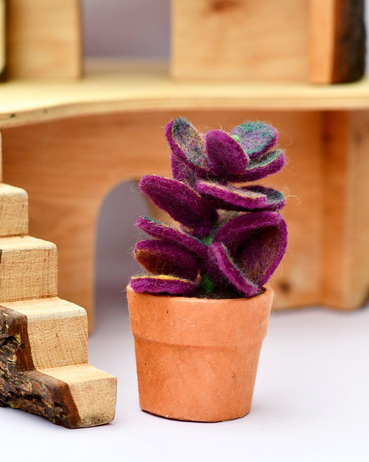 Felt Purple Jade Succulent Plant with Lokta Paper Pot - Tara Treasures