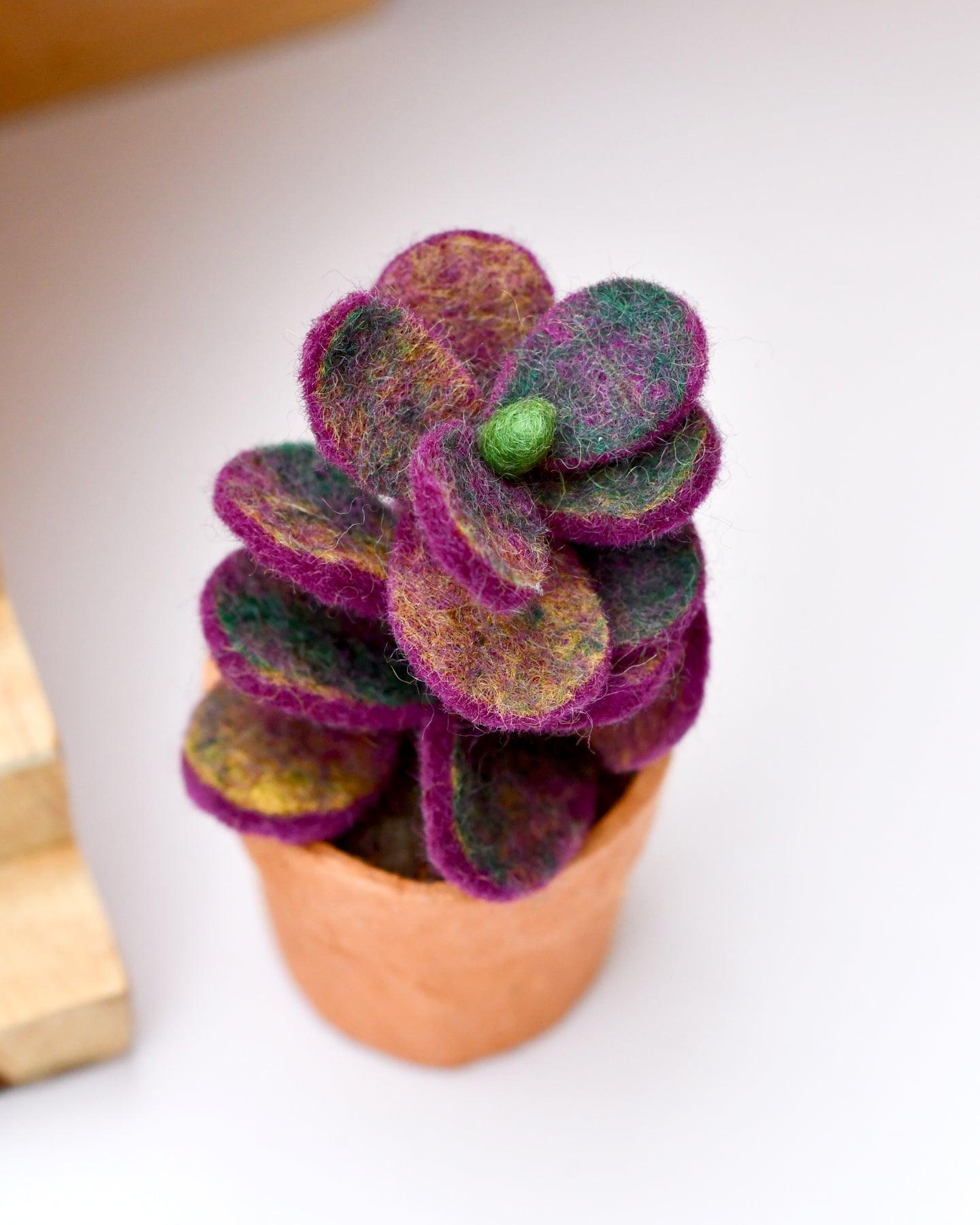 Felt Purple Jade Succulent Plant with Lokta Paper Pot - Tara Treasures