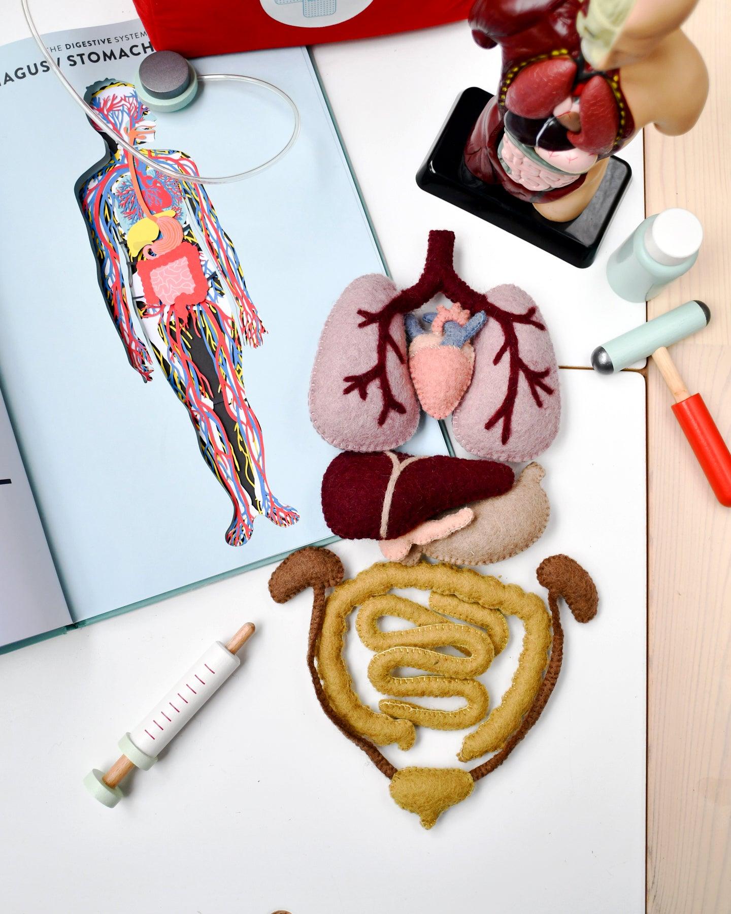 Felt Anatomy Set - Tara Treasures