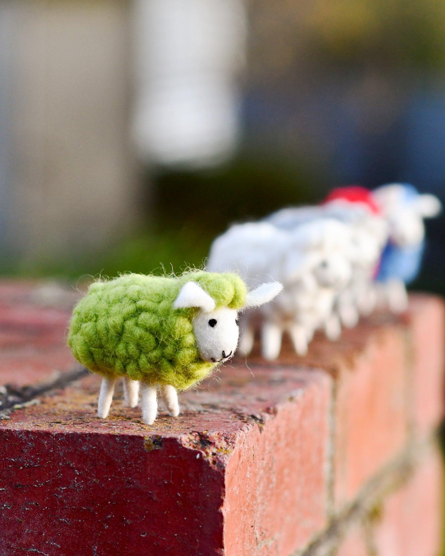 Felt Green Sheep Toys Set (5 Colours) - Tara Treasures