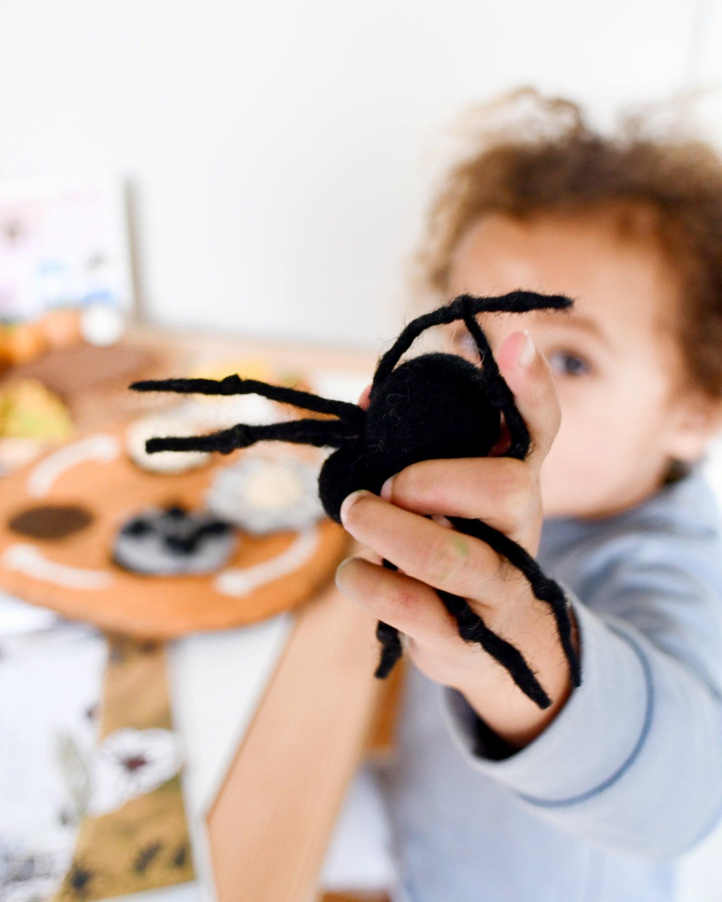 Felt Lifecycle of Redback Spider | Tara Treasures