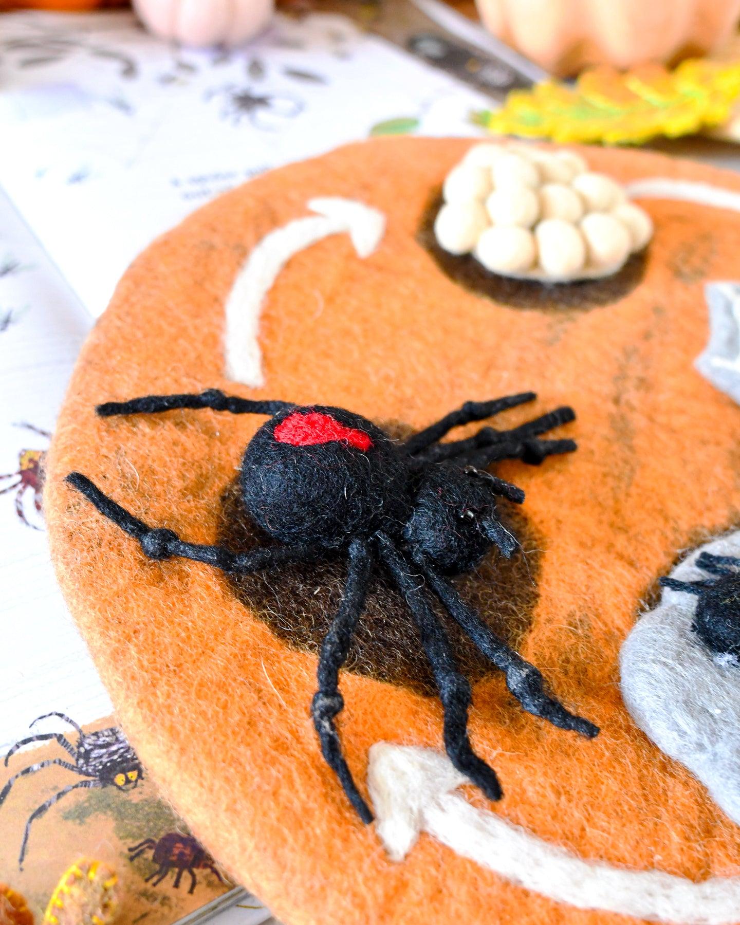 Felt Lifecycle of Redback Spider | Tara Treasures