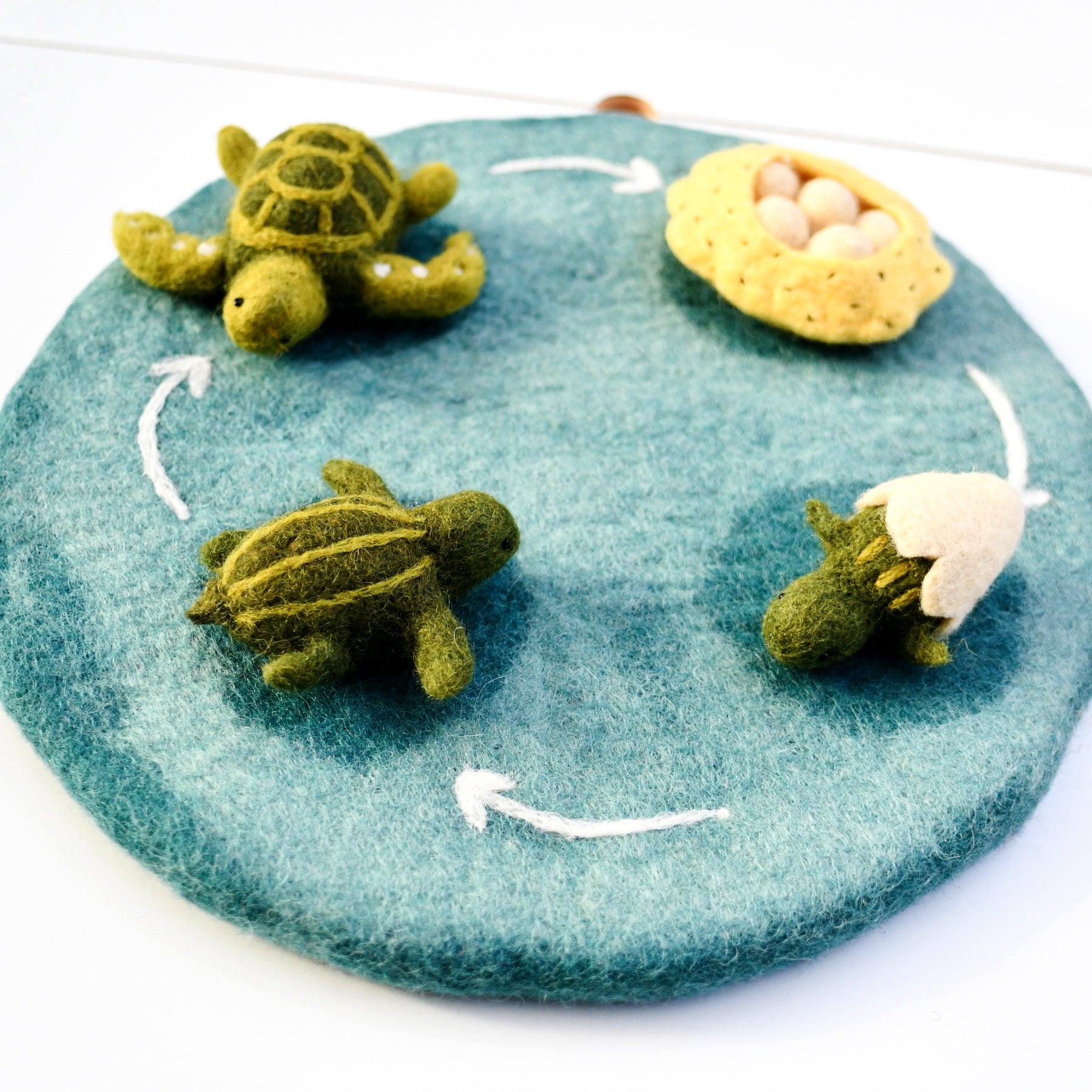 Felt Lifecycle of Green Sea Turtle - Tara Treasures