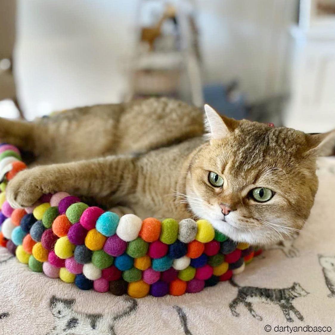 Colourful Felt Ball Basket for Cats - Tara Treasures