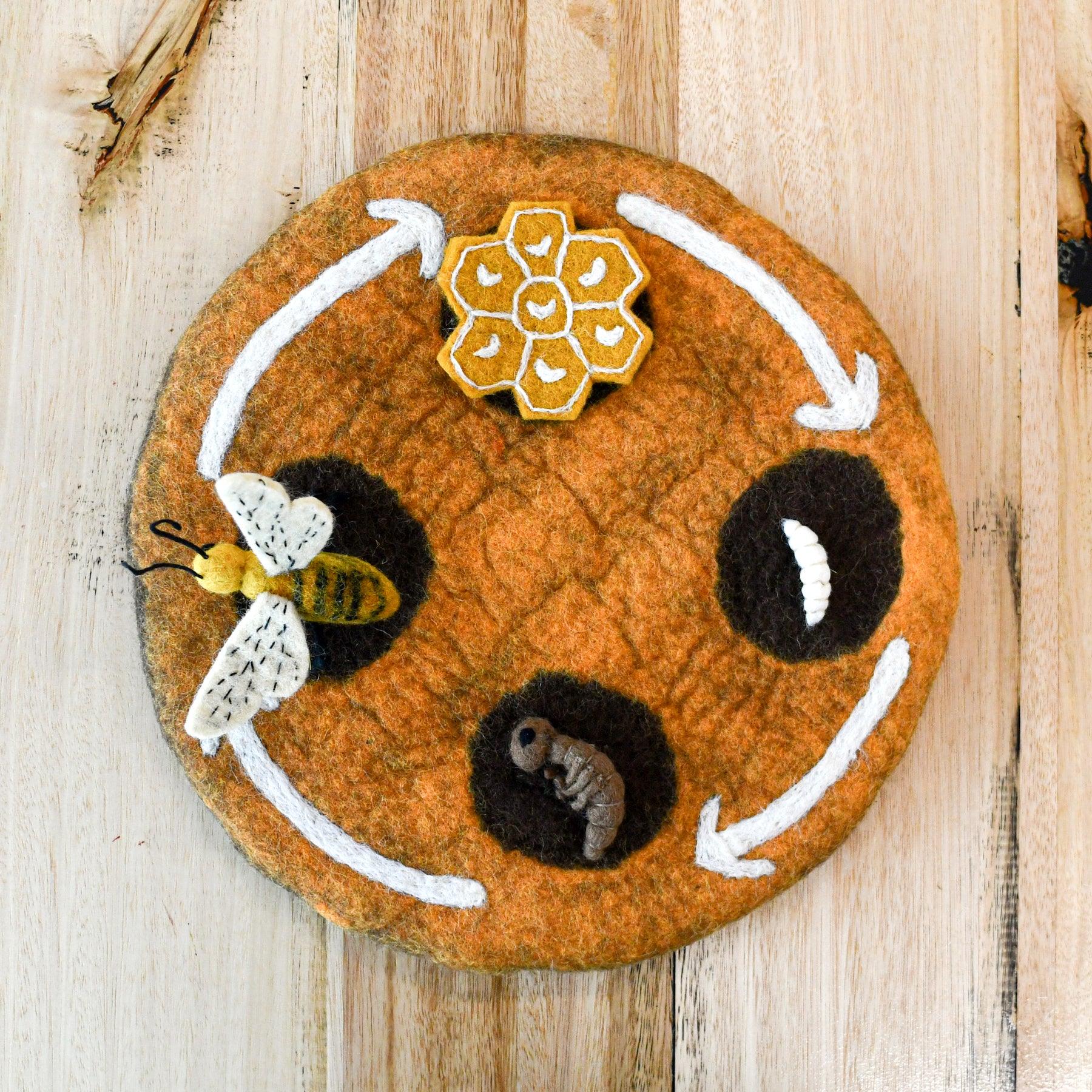 Felt Lifecycle of a Honey Bee - Tara Treasures