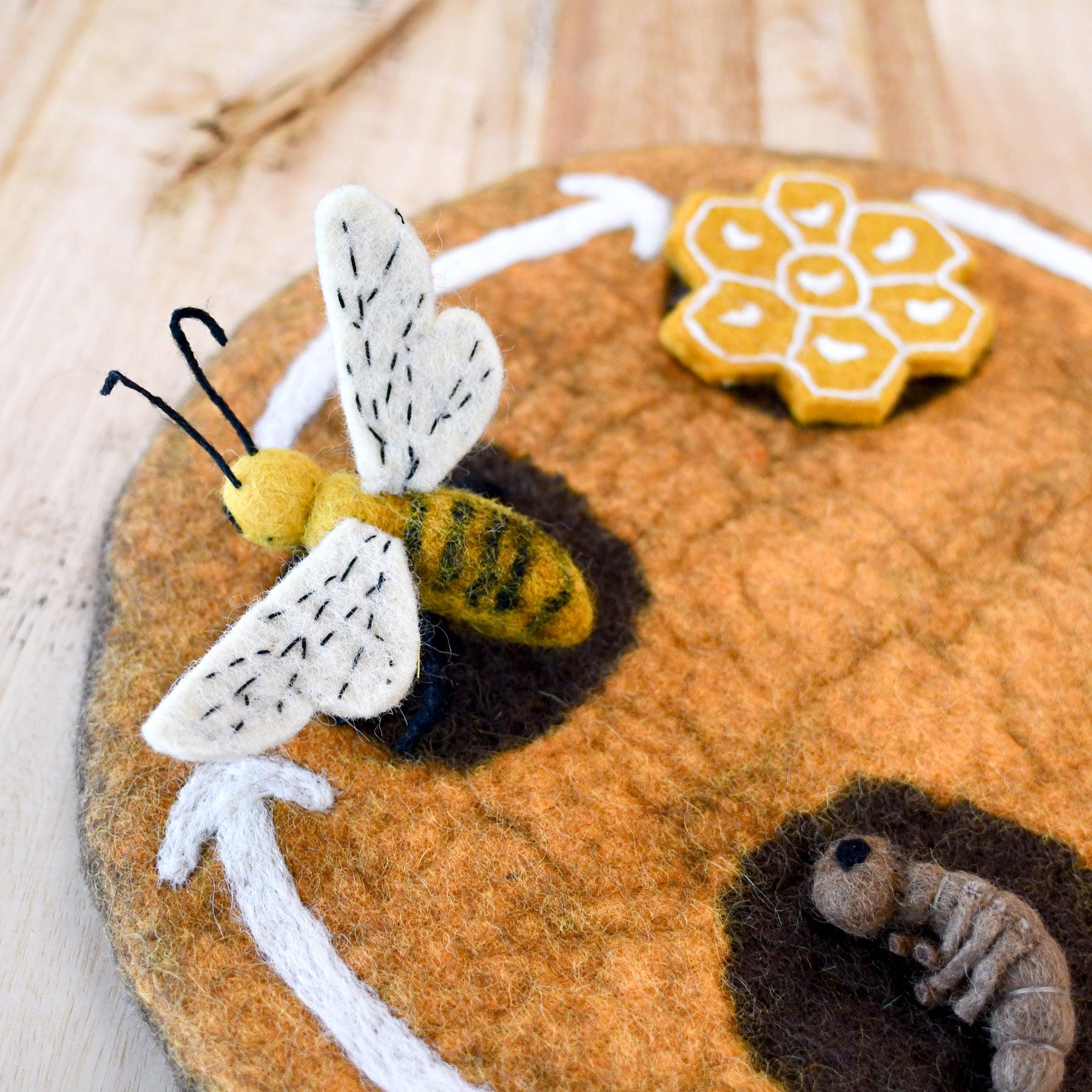 Felt Lifecycle of a Honey Bee - Tara Treasures