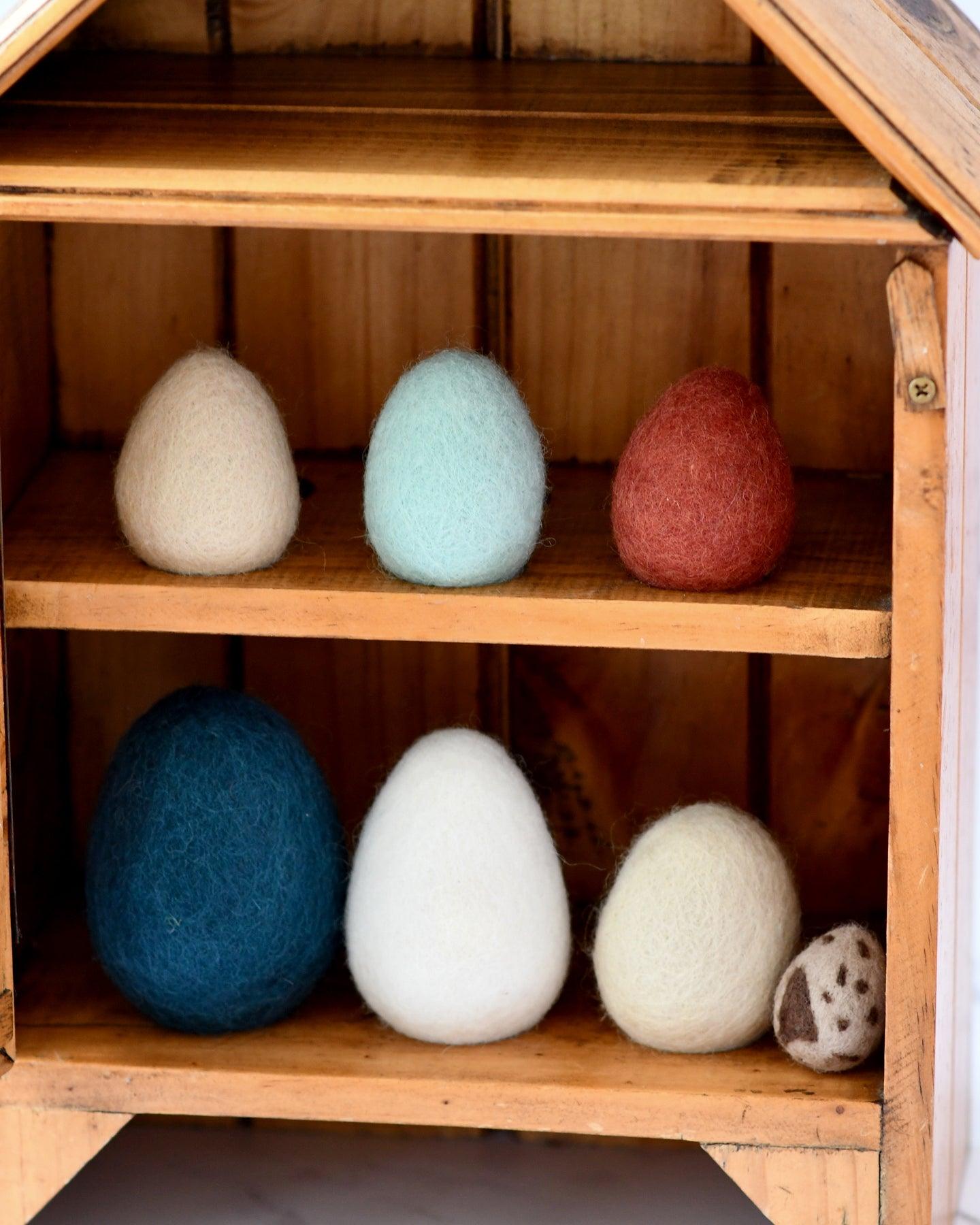 Felt Eggs (7 types of poultry eggs) - Tara Treasures