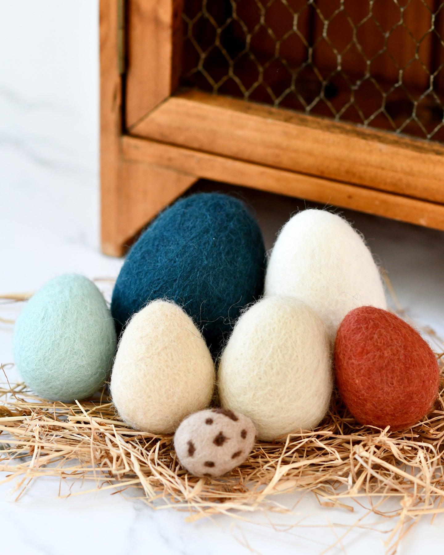 Felt Eggs (7 types of poultry eggs) - Tara Treasures