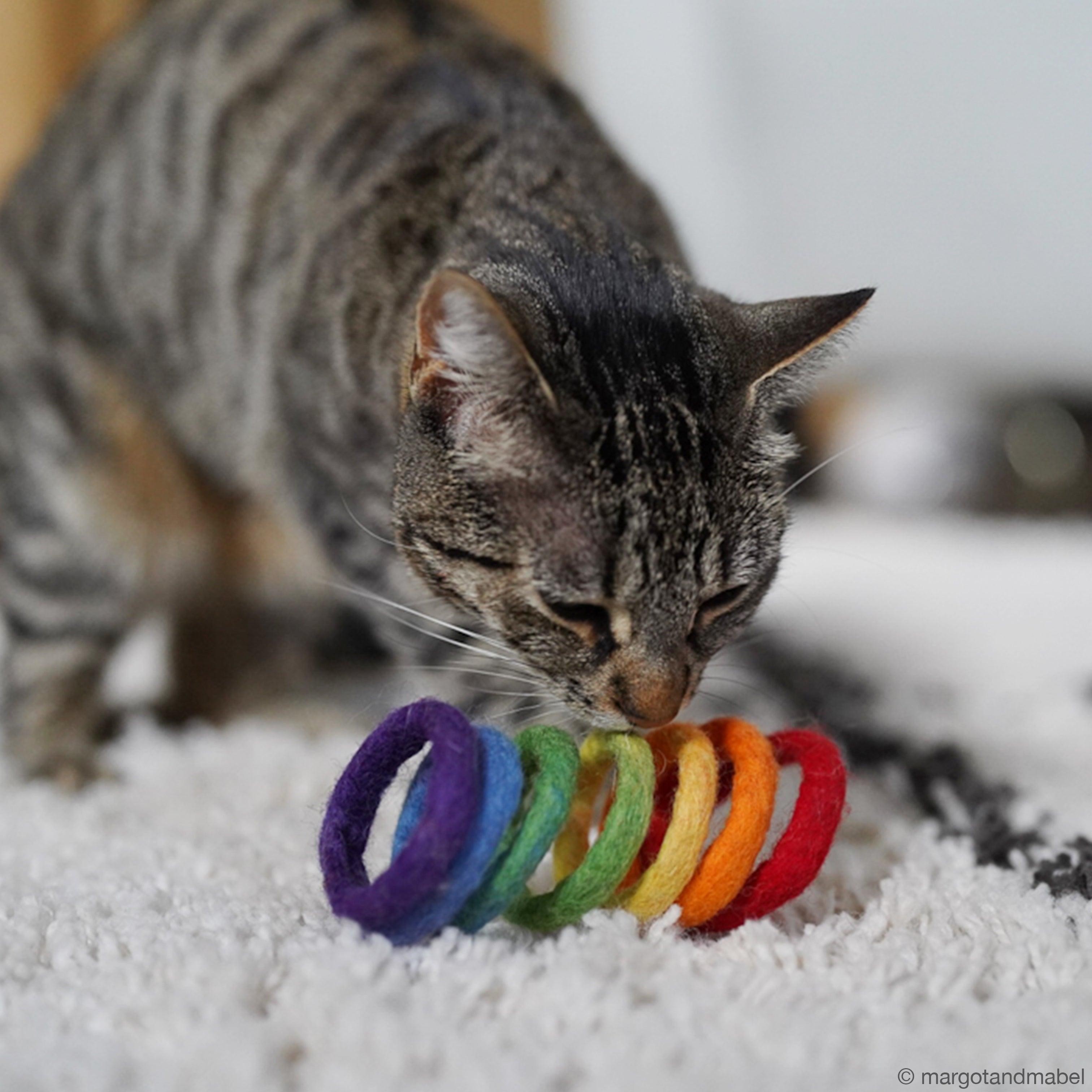 Rainbow Spring Cat Toy - Tara Treasures