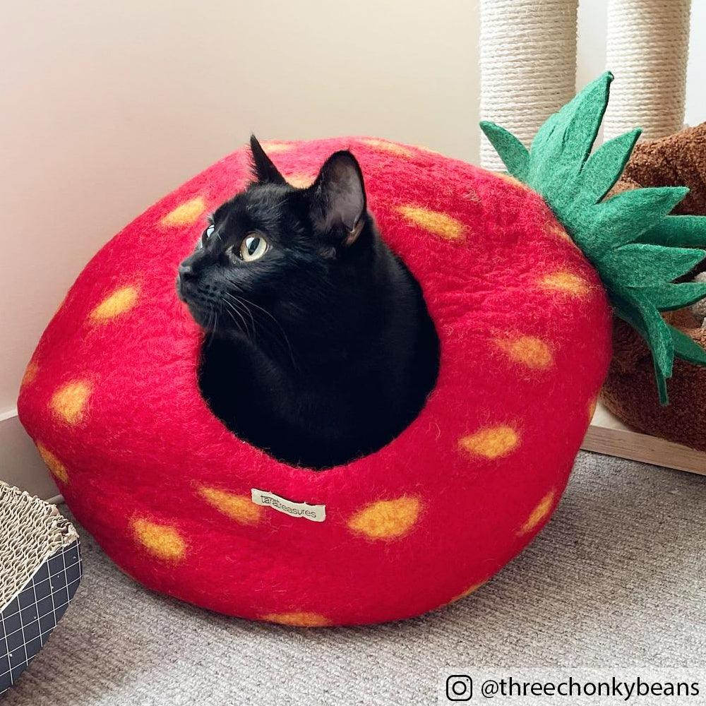 Strawberry 2025 cat bed